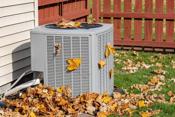 Best HVAC Cleaning Services  in Ogden, NC